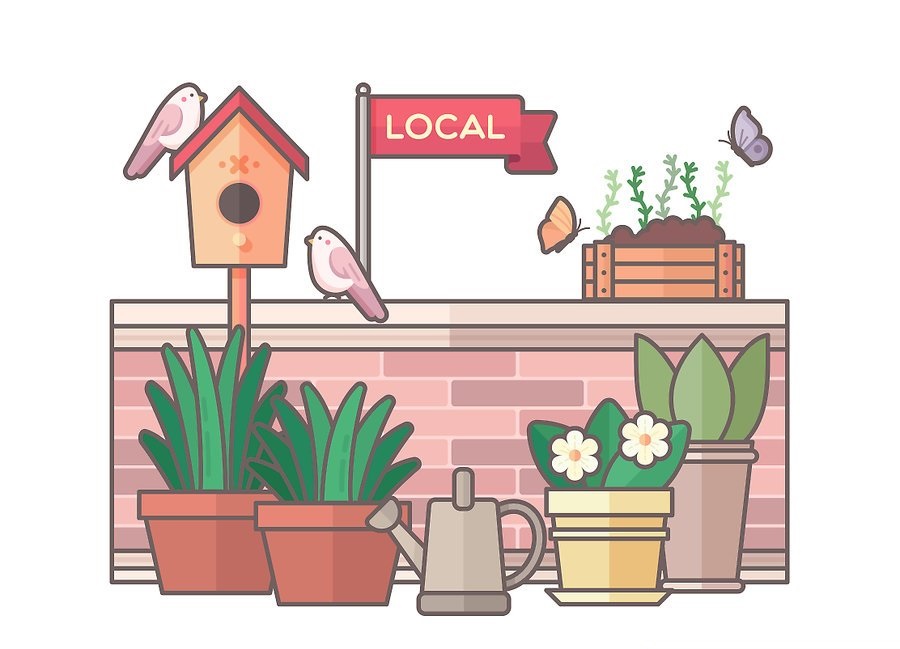 مراحل اجرای روف گاردن