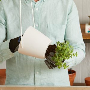 گلدان دکوراتیو