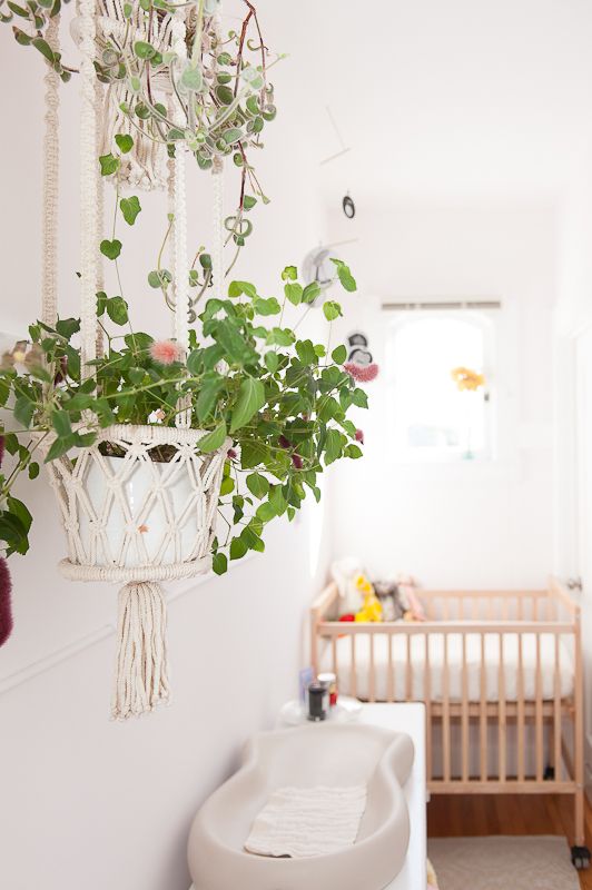 گل و گیاه مناسب کودکان