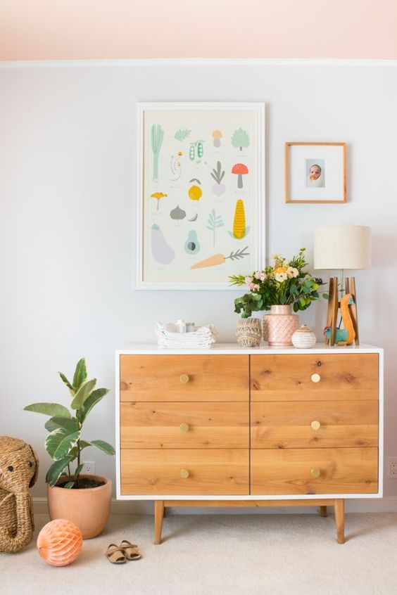 گل و گیاه برای اتاق کودک