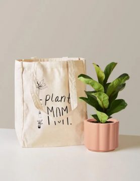 هدیه به مادر