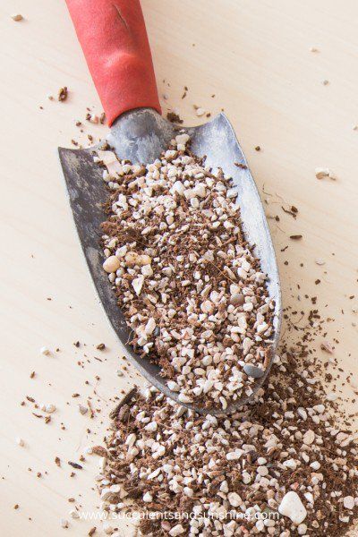 کود خانگی و ارگانیک گیاهان