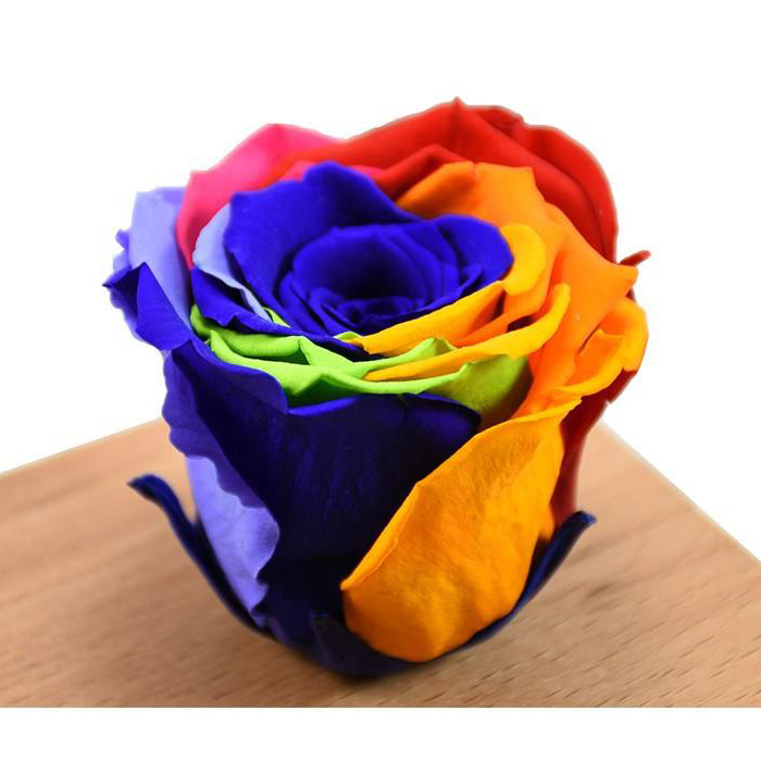 رز جاودان چیست؟