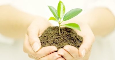 تقویت گلهای آپارتمانی