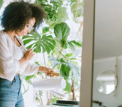 تاثیر رسیدگی به گیاه بر روان انسان