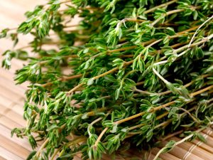 گیاه آویشن