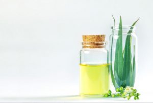 خواص روغن اکالیپتوس 