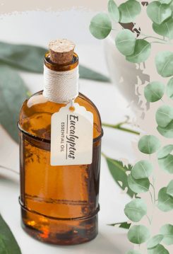 خواص اکالیپتوس برای مو